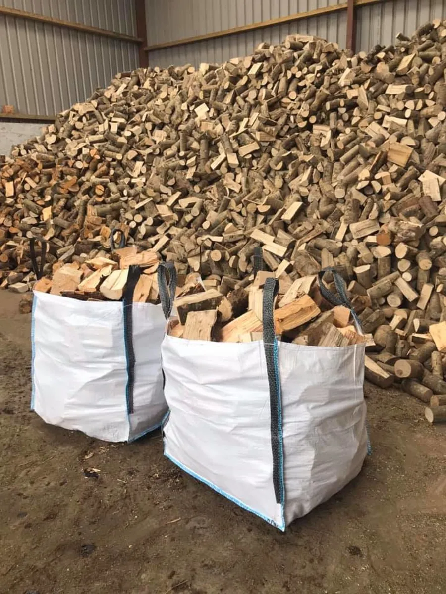 FireWood - Image 1