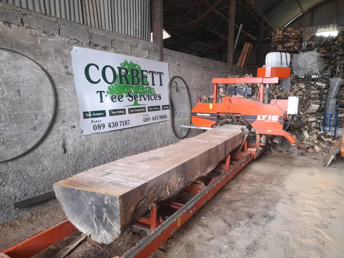 Saw mill , sawmill service - Image 1