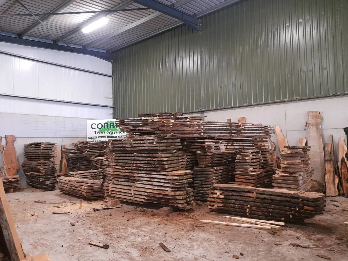 Saw mill , sawmill service - Image 2