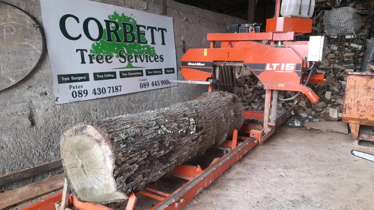 Saw mill , sawmill service - Image 3