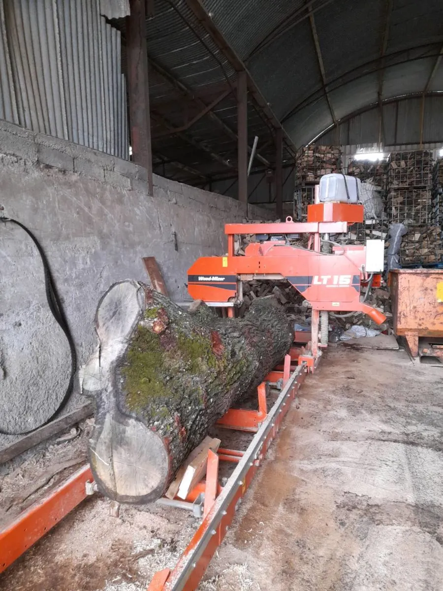 Saw mill , sawmill service - Image 4