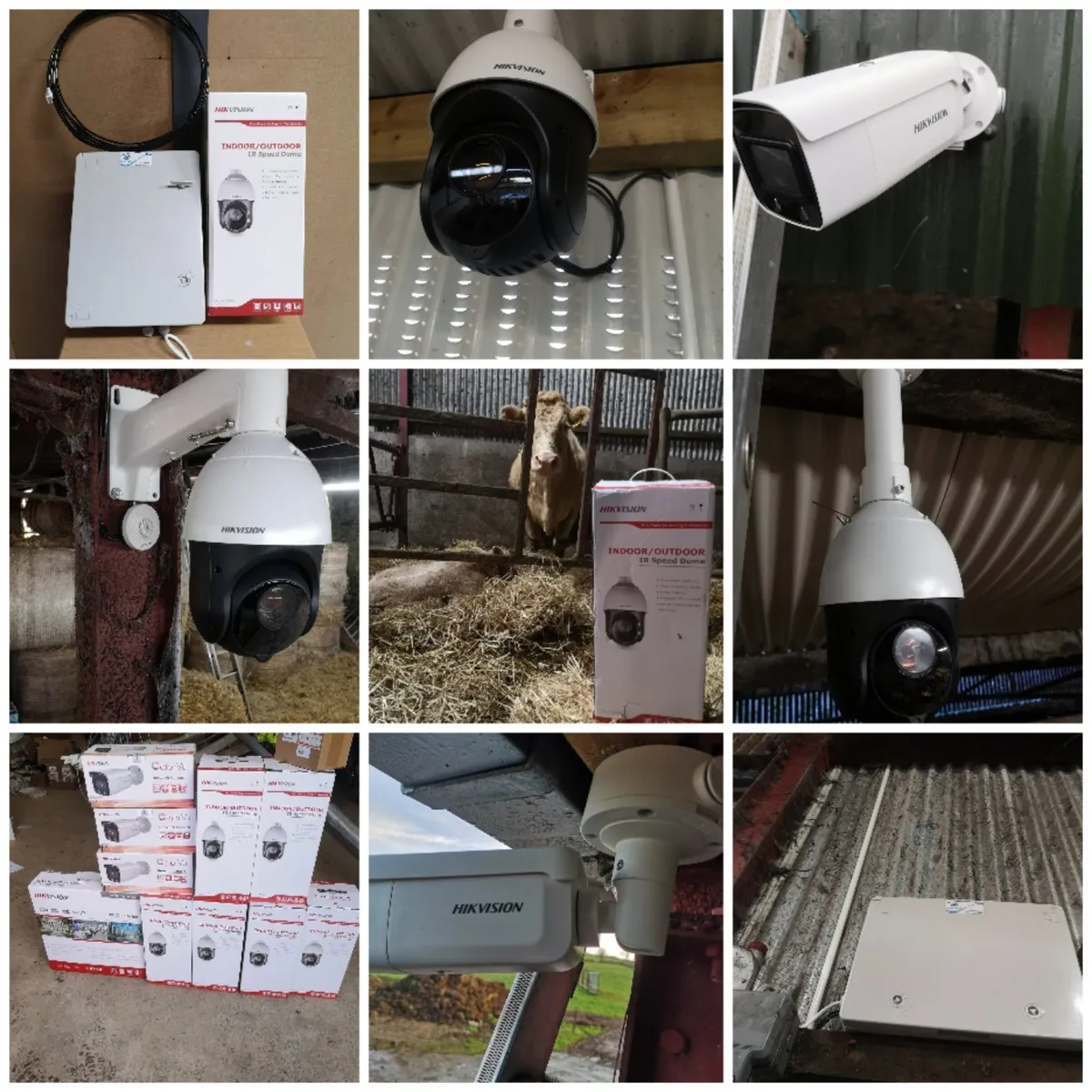 Calving cameras /lambing cameras - Image 1