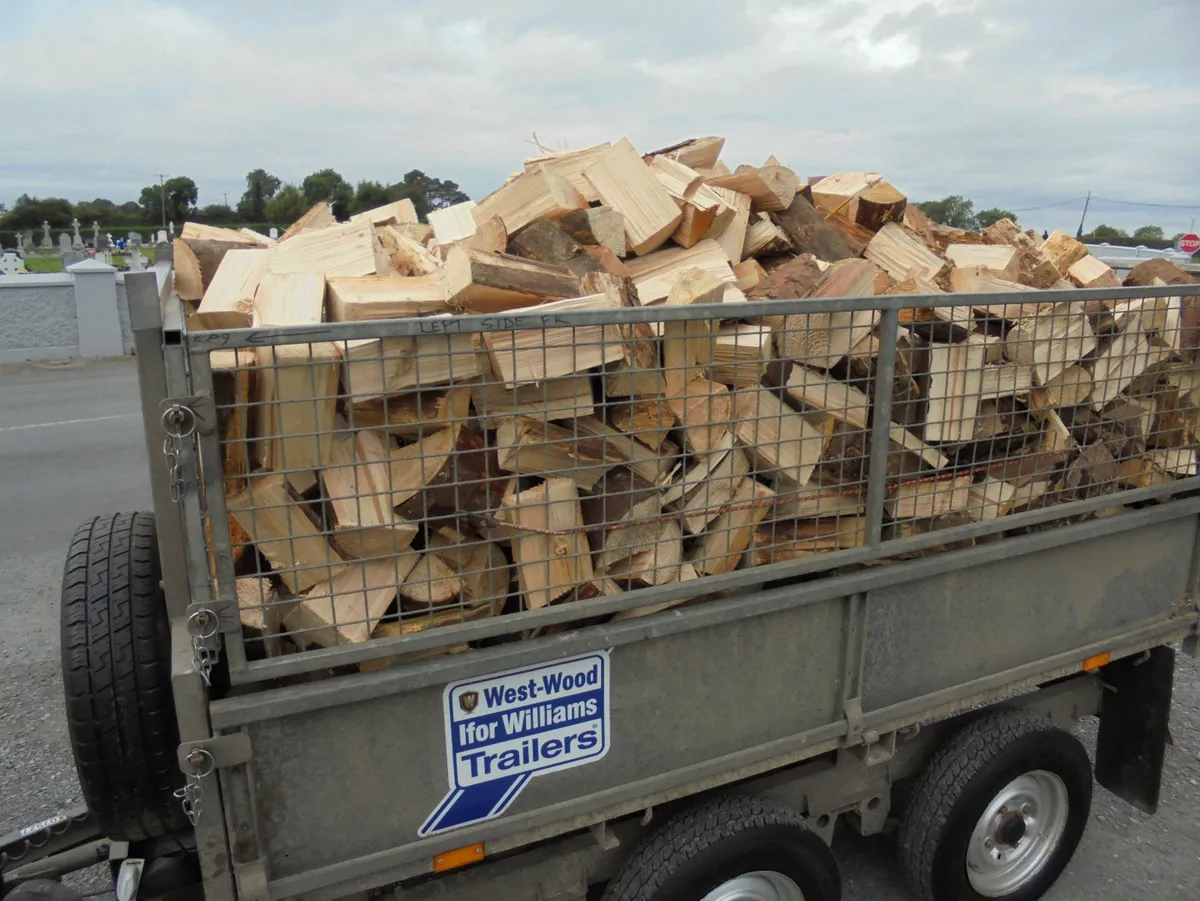 FIREWOOD. - Image 4
