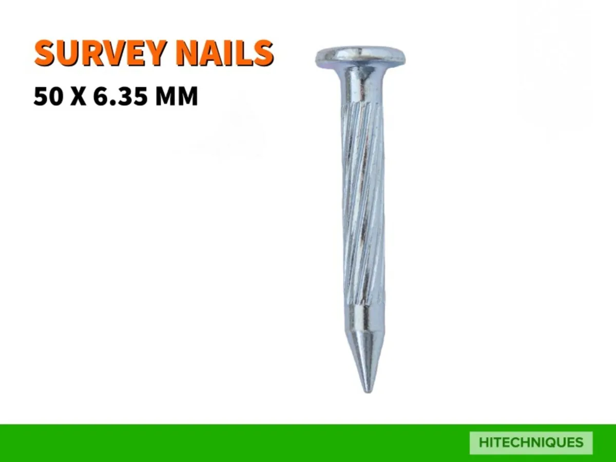 Surveying Nails PK Type, pack of 20 - Image 1