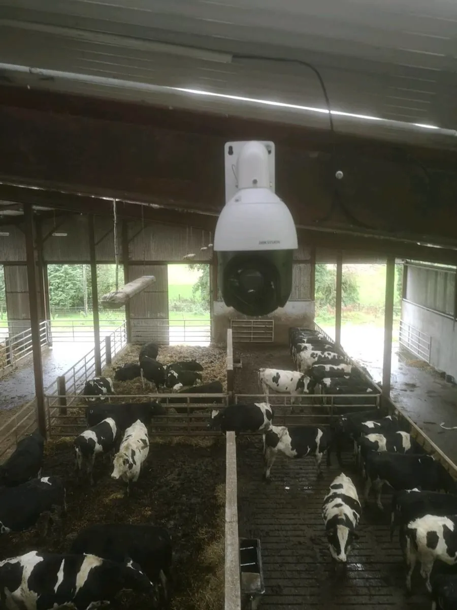 Calving cameras /security cameras - Image 2