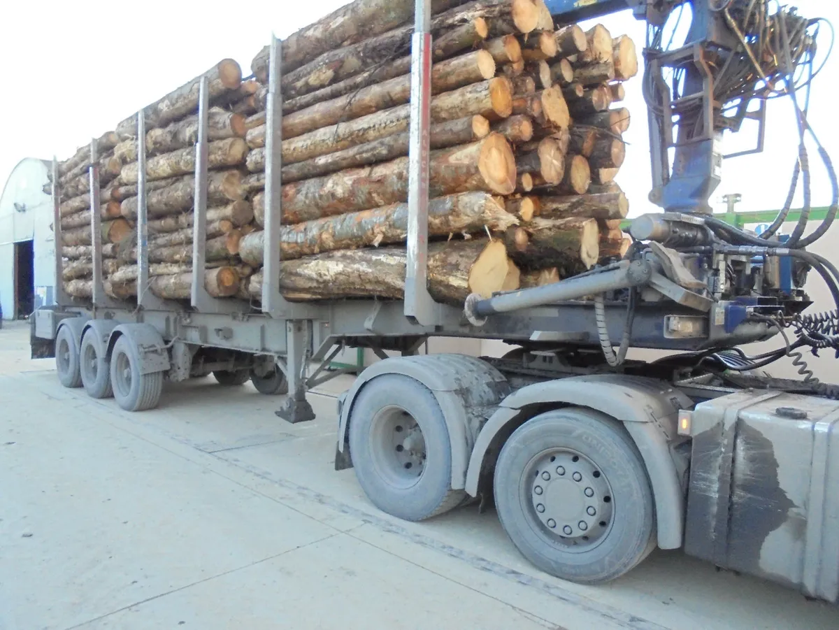 Firewood. - Image 2