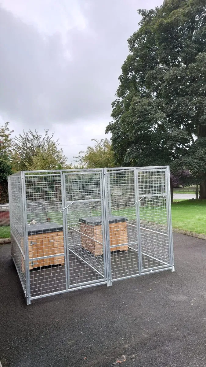 Galvanised dog pen cage kennels