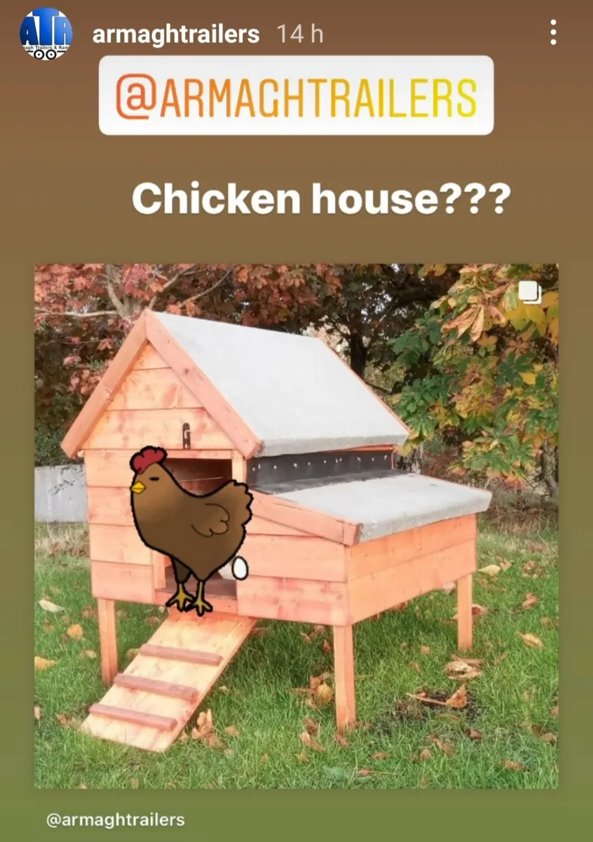 New med size wooden hen chicken 🐔 ark coop - Image 1