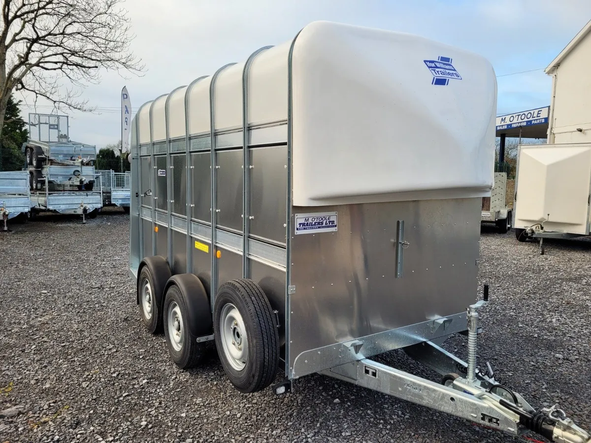 NEW IFOR WILLIAMS 12' x 5'10" HORSE CATTLE TRAILER - Image 3