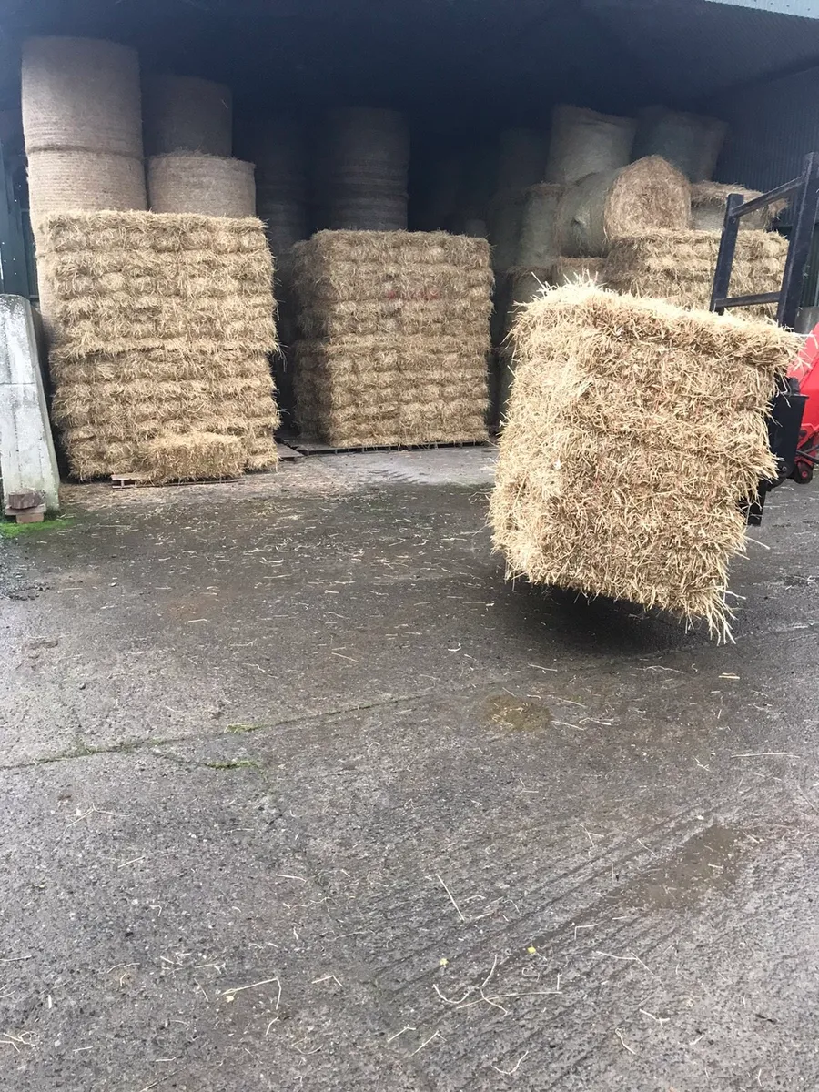Quality Hay +straw small square bales - Image 1