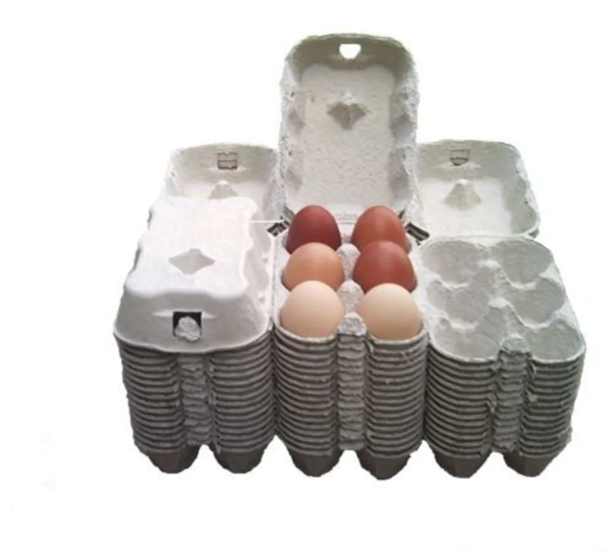 Egg Boxes & Packaging Delivered Nationwide - Image 3