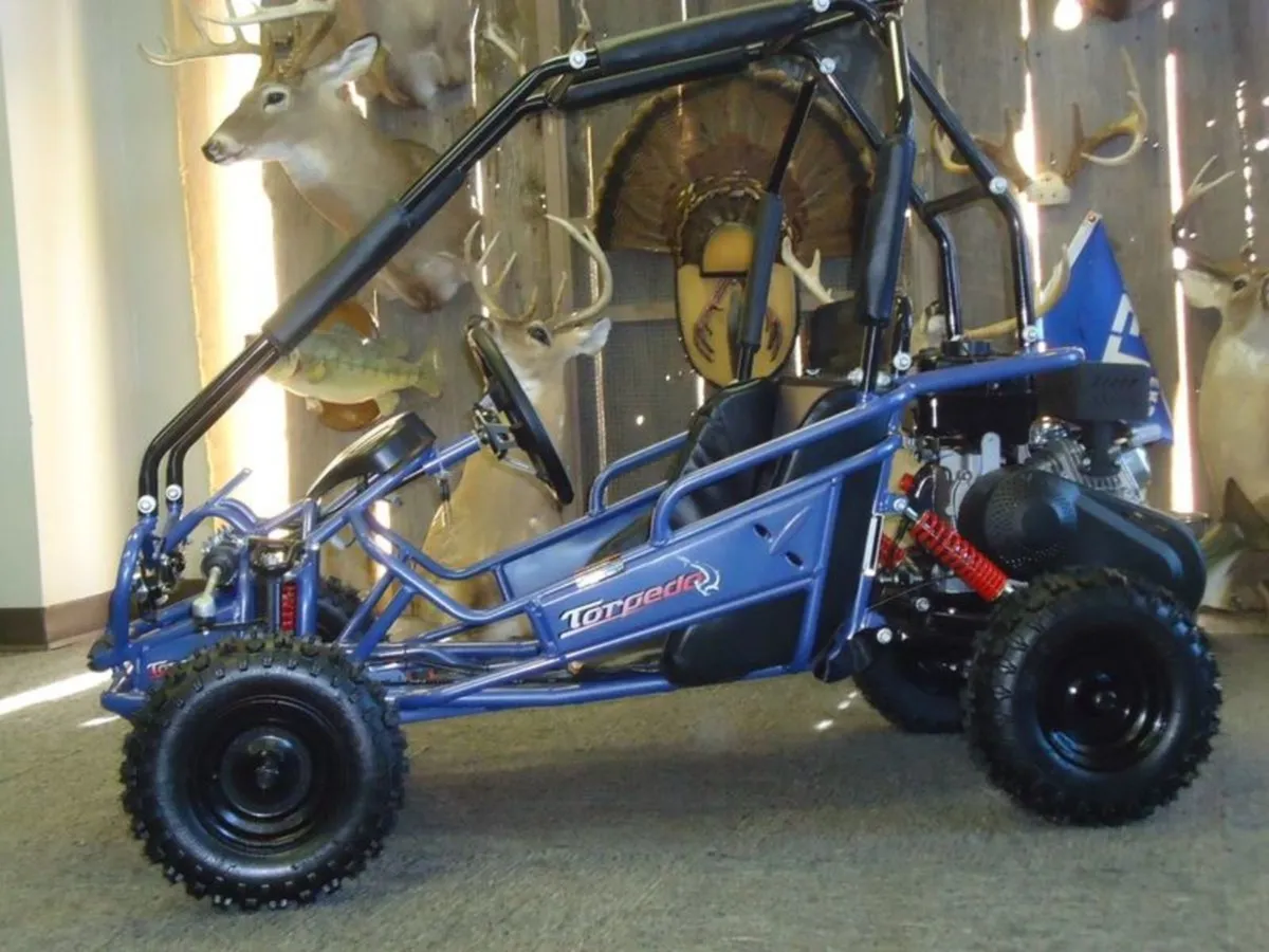HAMMERHEAD Torpedo Kids Buggy (DELIVERY-CHOICE) - Image 3
