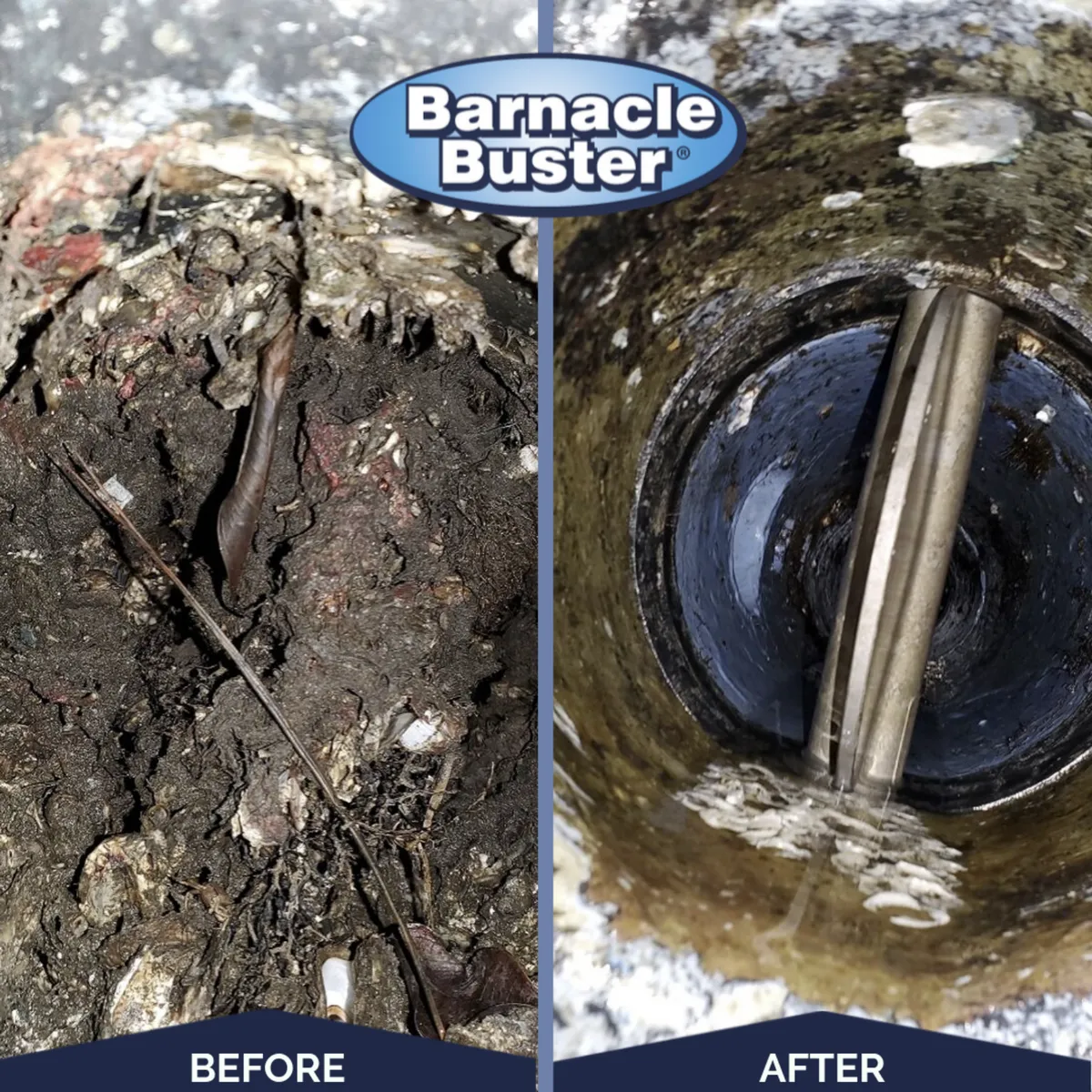 Barnacle Buster - Image 1