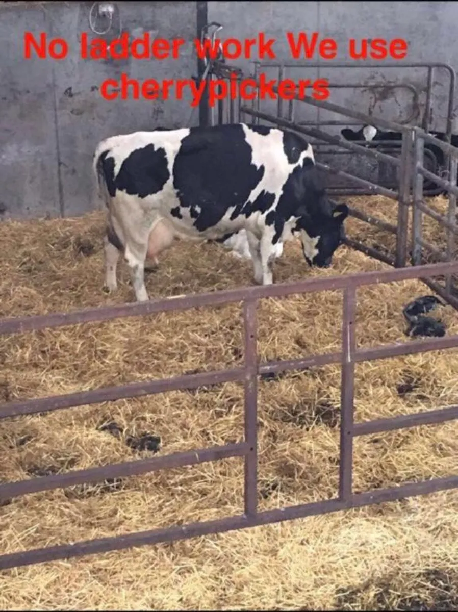 Cow Calving Cameras