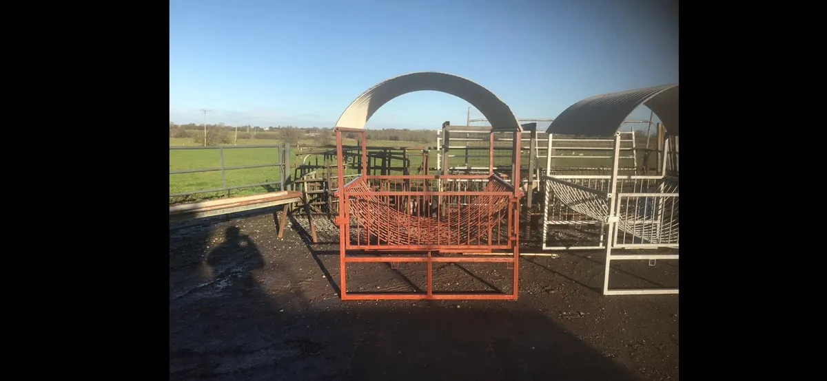 Sheep Feeders - Image 3