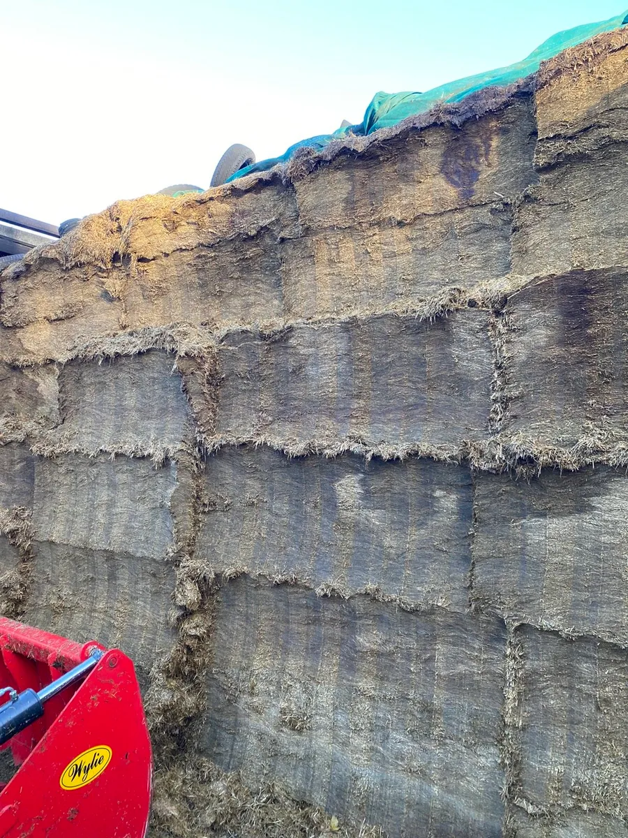 Shear grab sheer grab silage wylie tractor JCB - Image 1