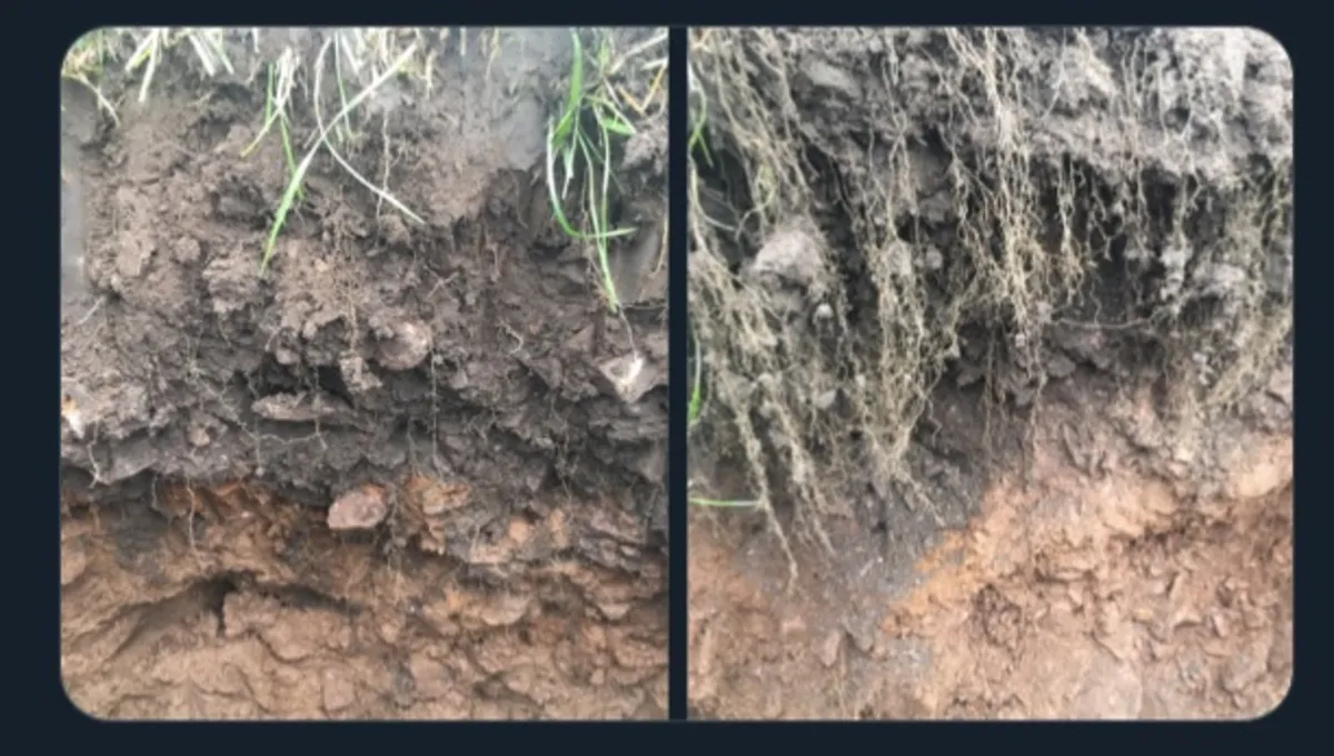 SOBAC Soil Amendment = 30% Less Nitrogen - CORK - Image 2