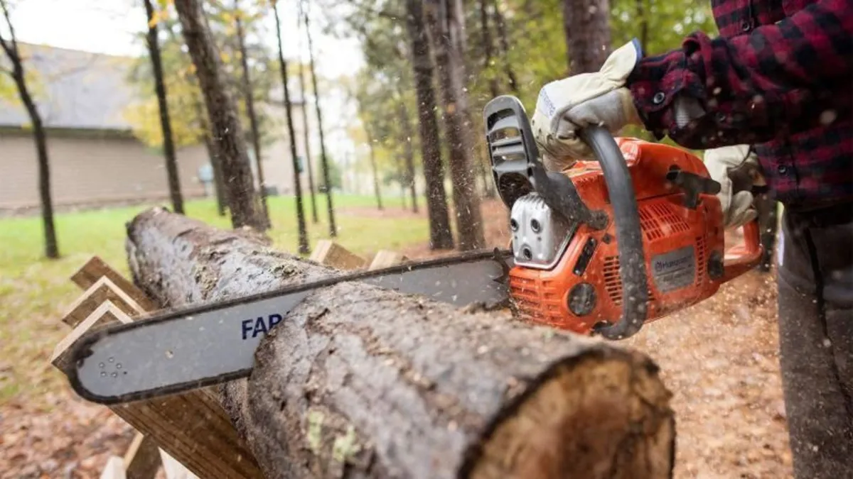 Affordable Tree Removal / Surgeon North East - Image 3