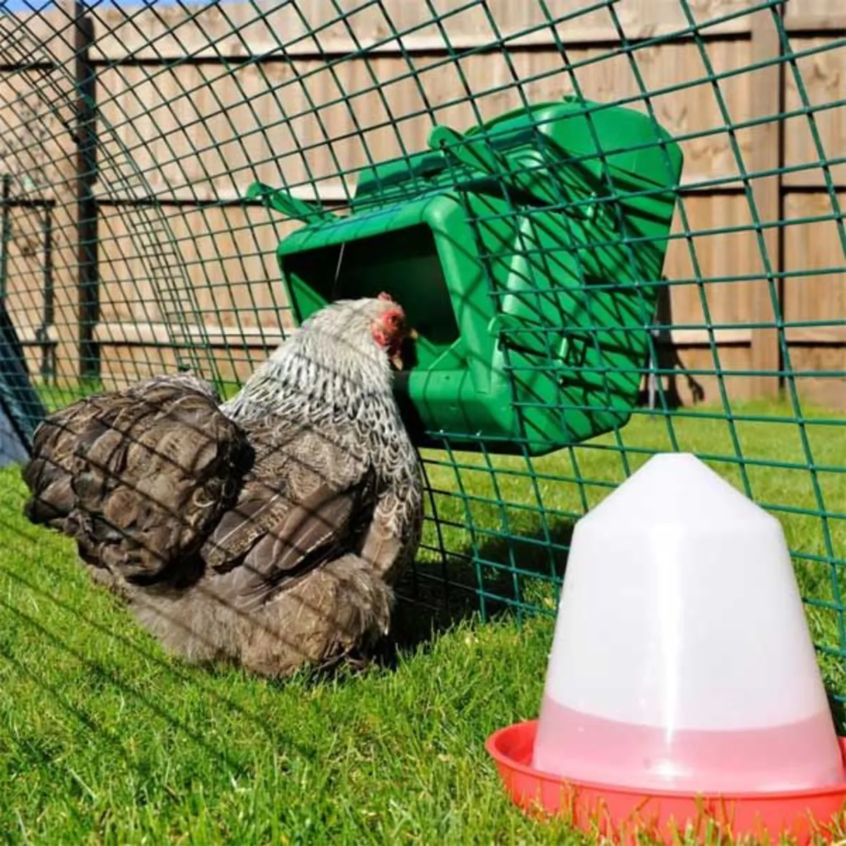 Wise Poultry Feeders 5kg & 10 Kg. Cage & Wall Mounted.
