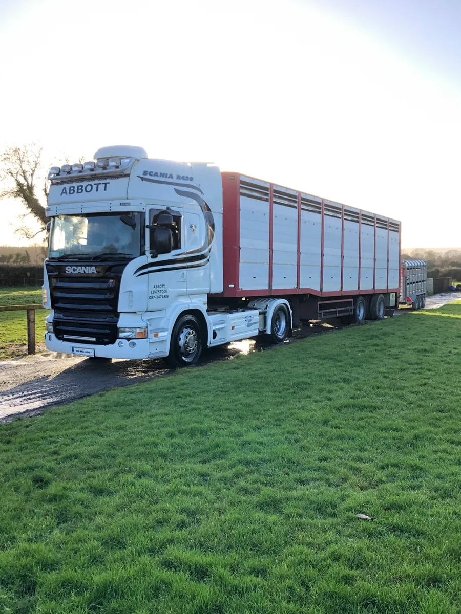 Abbott Livestock transport. - Image 4