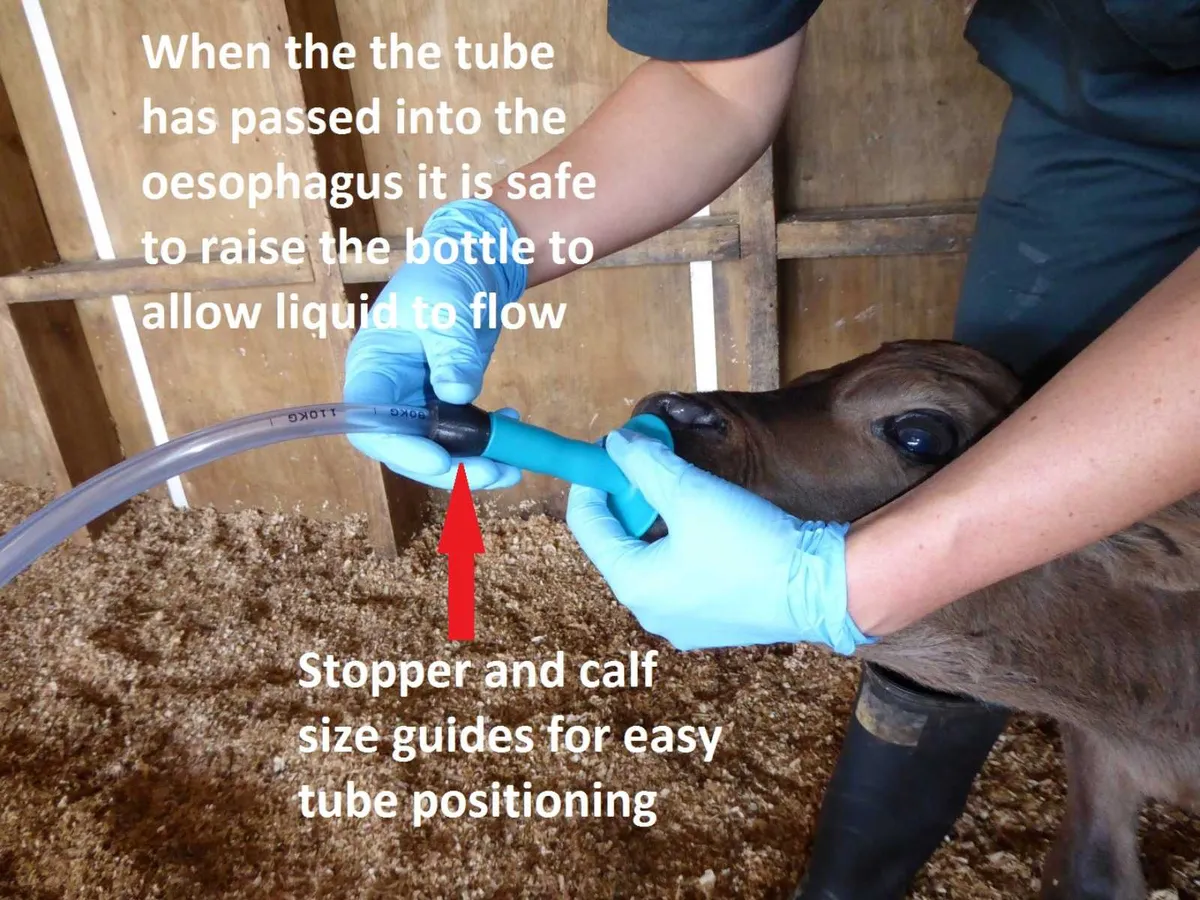 SPECIAL OFFER on Trusti tuber stomach tube - Image 4