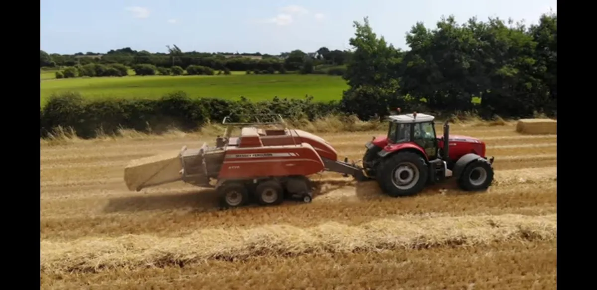 Wheat Barley Oat Straw