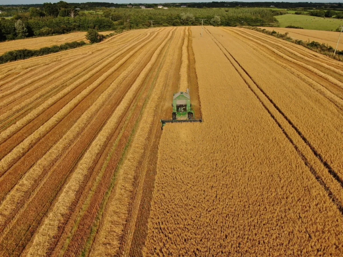 Wheat Barley Oat Straw - Image 2