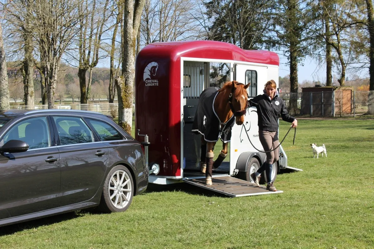 2024 Cheval Liberte horseboxes