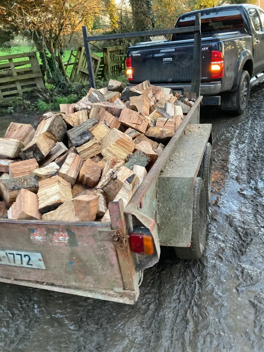 Firewood - Image 2