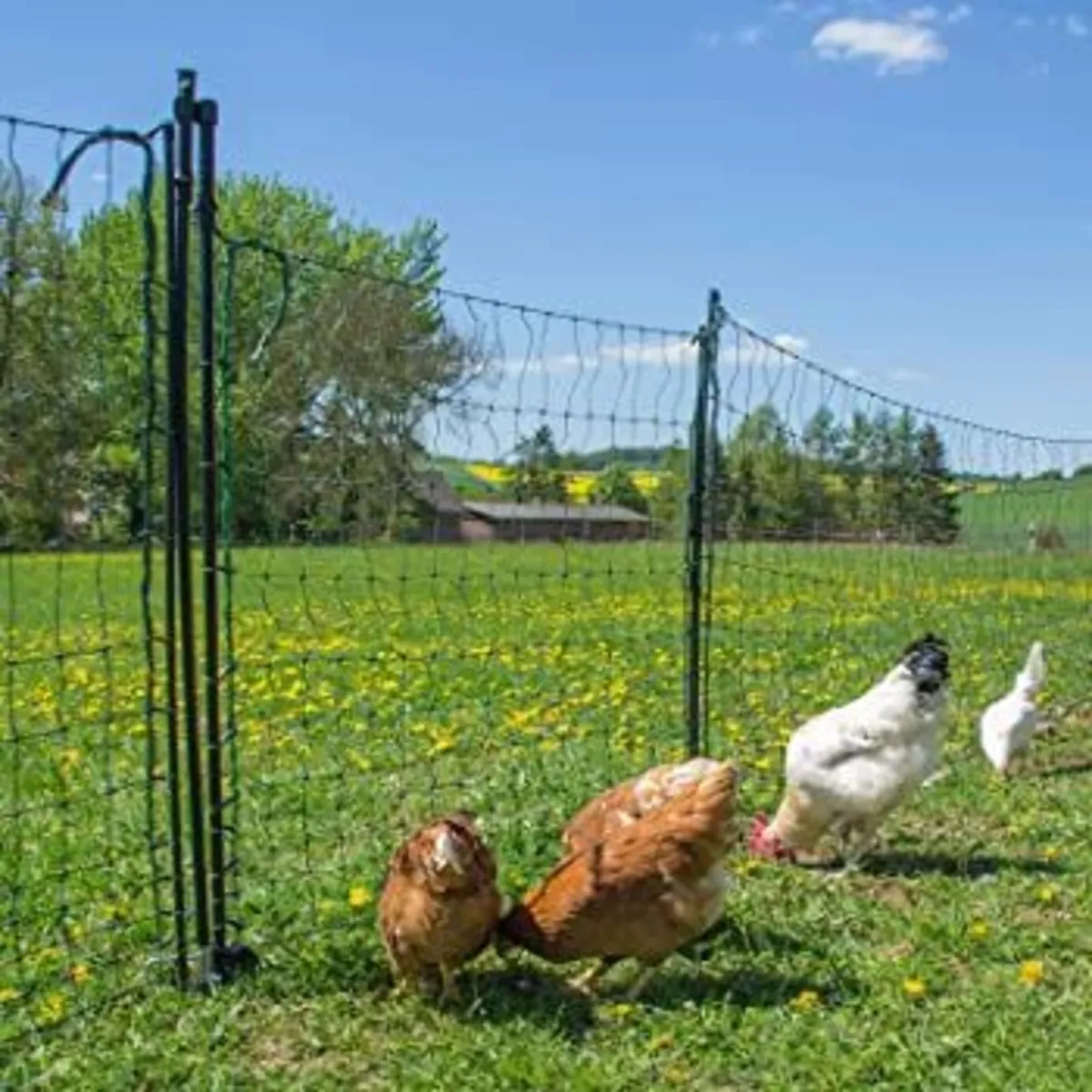 New Electric Poultry Fencing / Netting for Sale - Image 1