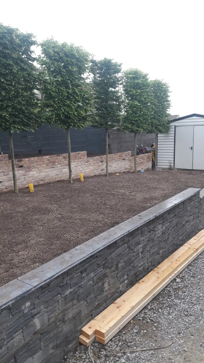 Carson landscapes cork lawn laying - Image 1