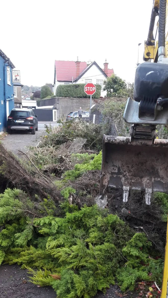 Carson landscapes cork mini digger hire - Image 2