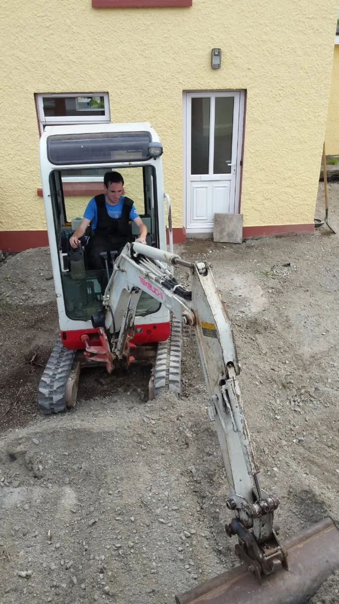 Carson landscapes cork mini digger hire - Image 3