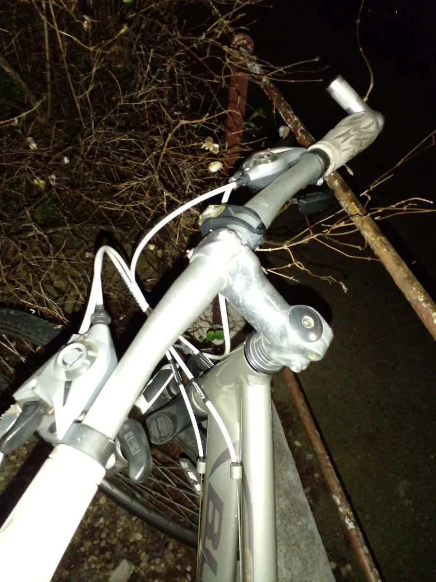 Ladies Butlers Bike - Image 3