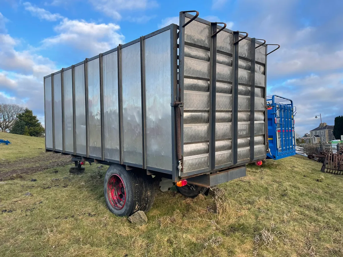 Aughrim 16x8 cattle trailer - Image 2