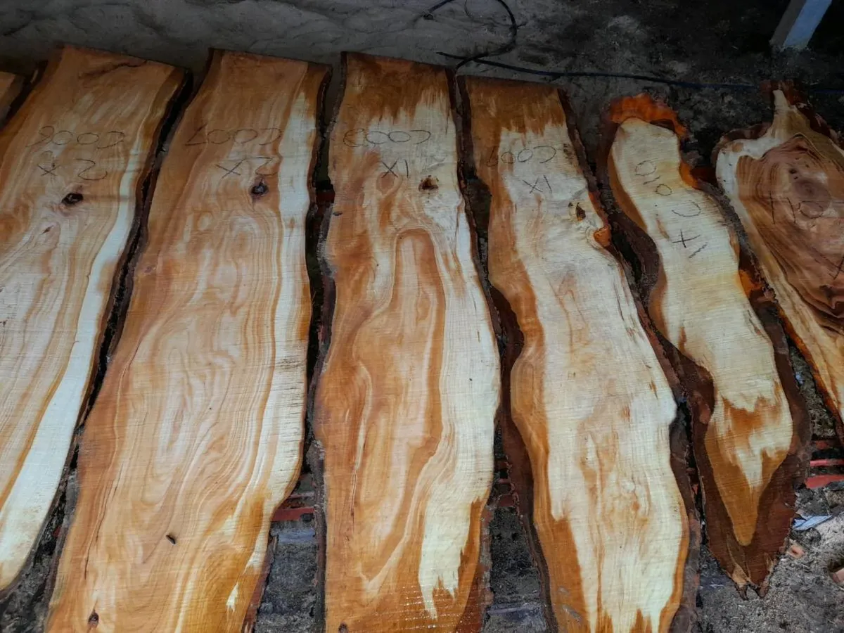 Timber planks - Image 2