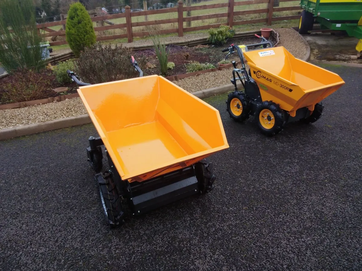 Dumper - Image 1