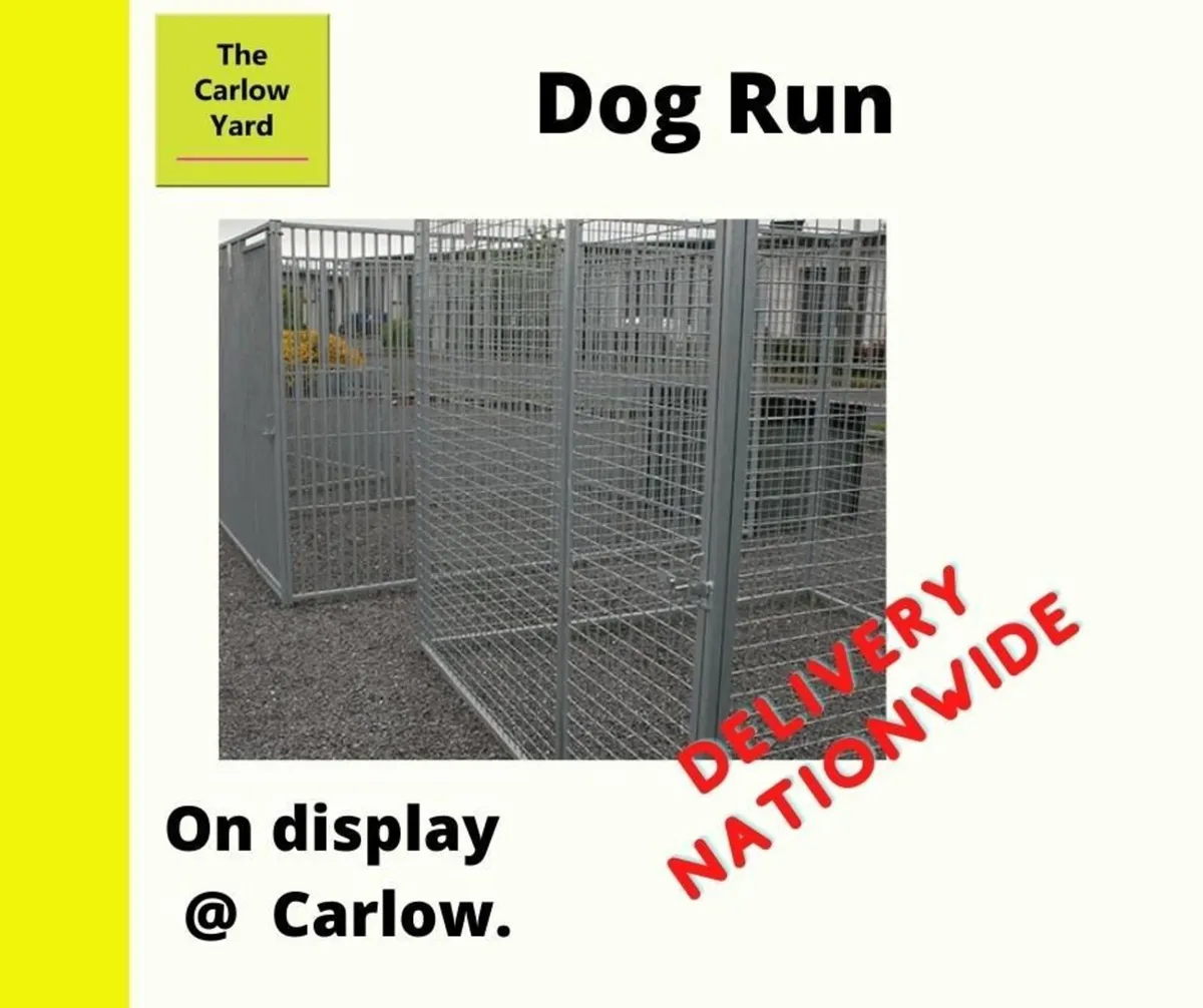 dog runs