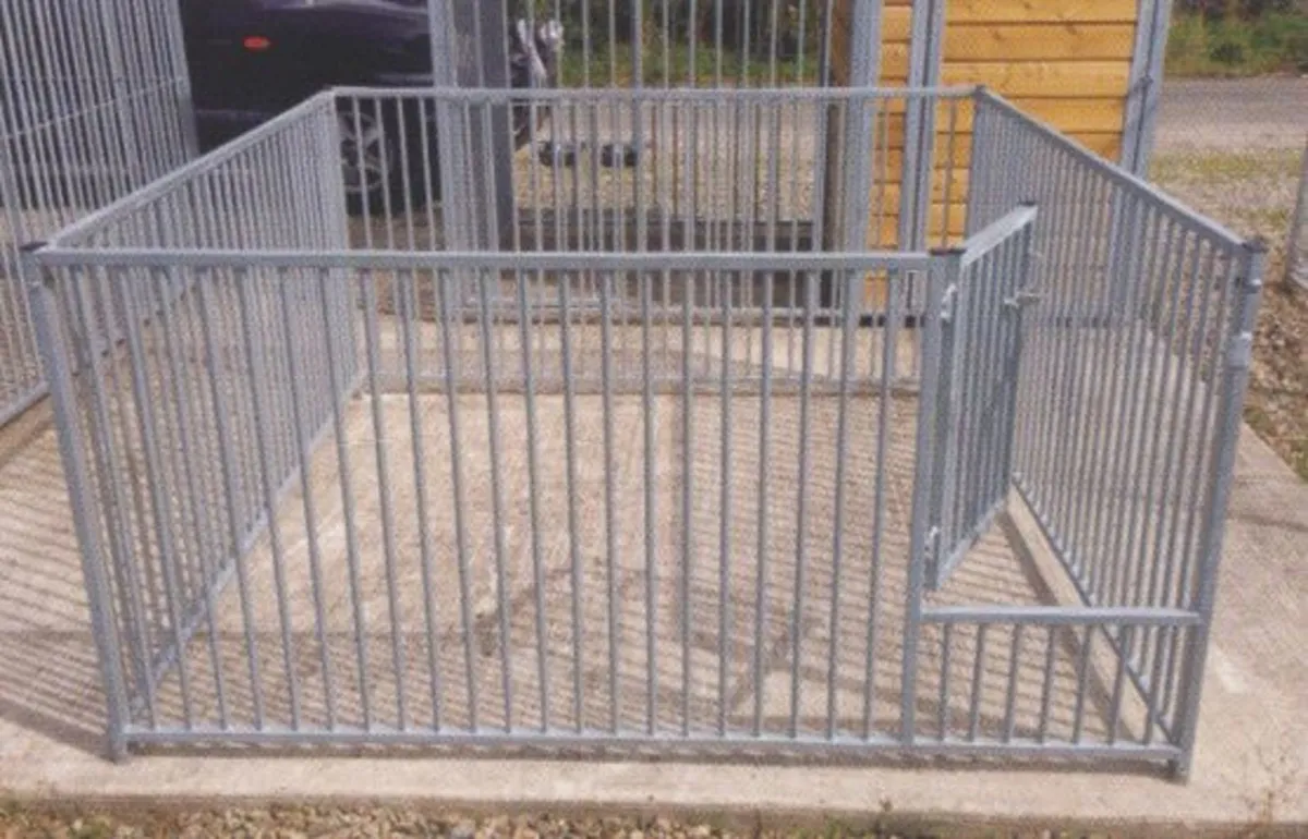dog runs - Image 3