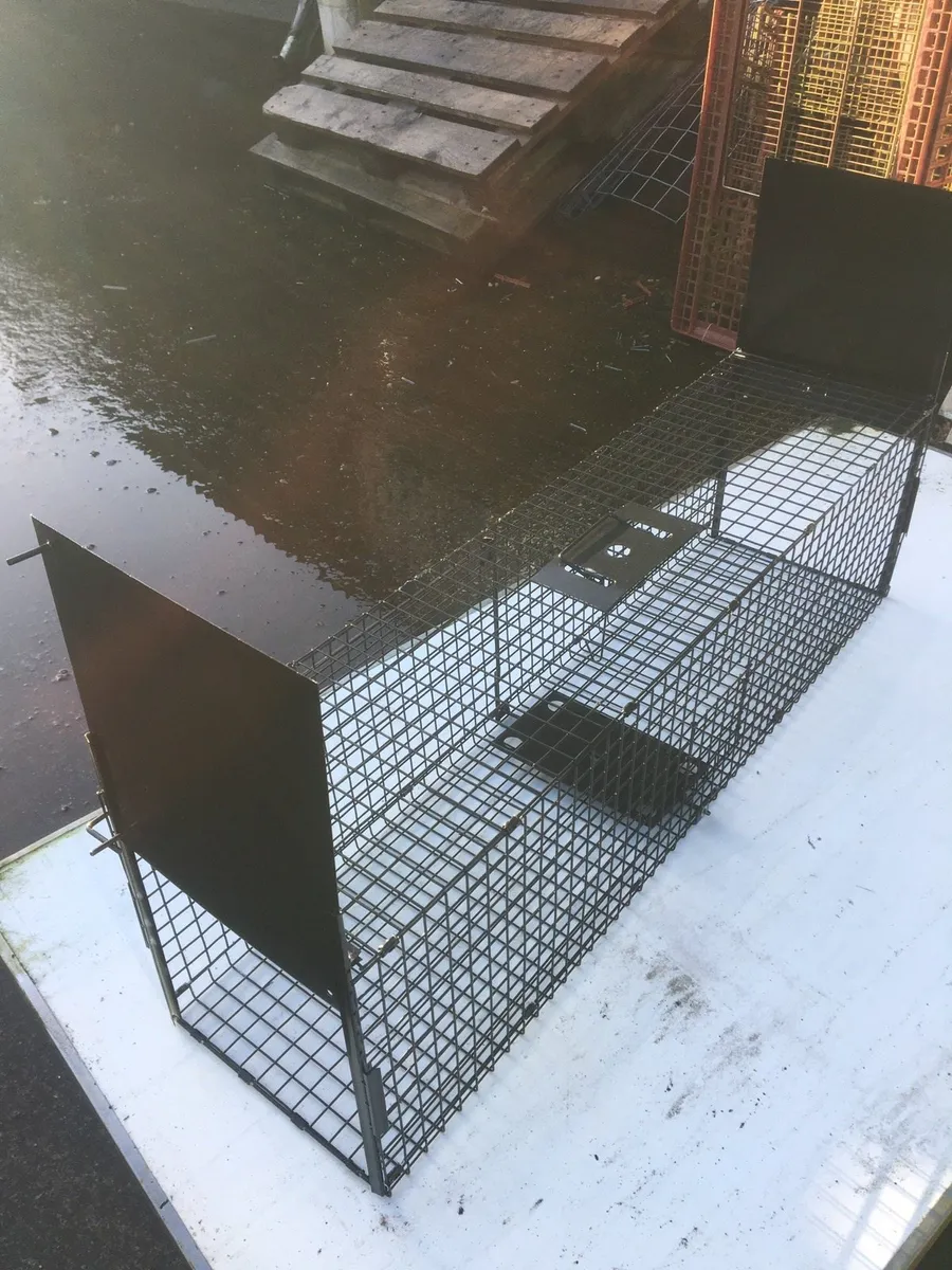 Cat trap