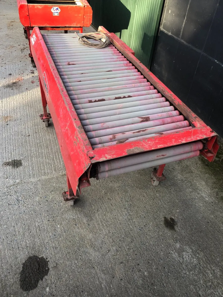 Potato Inspection Table - Image 3