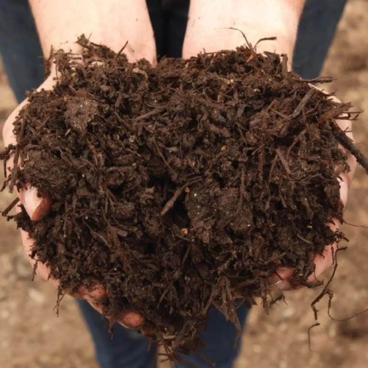 Mushroom Compost - Image 1