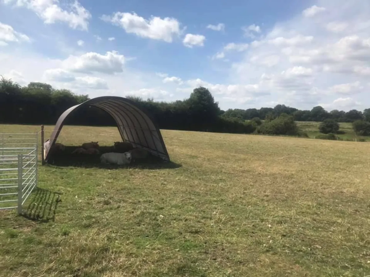 Heavy Duty Horse Shelter - Free Delivery - Image 2