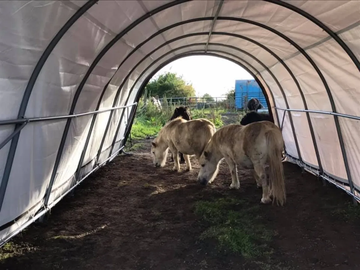 Heavy Duty Horse Shelter - Free Delivery - Image 4