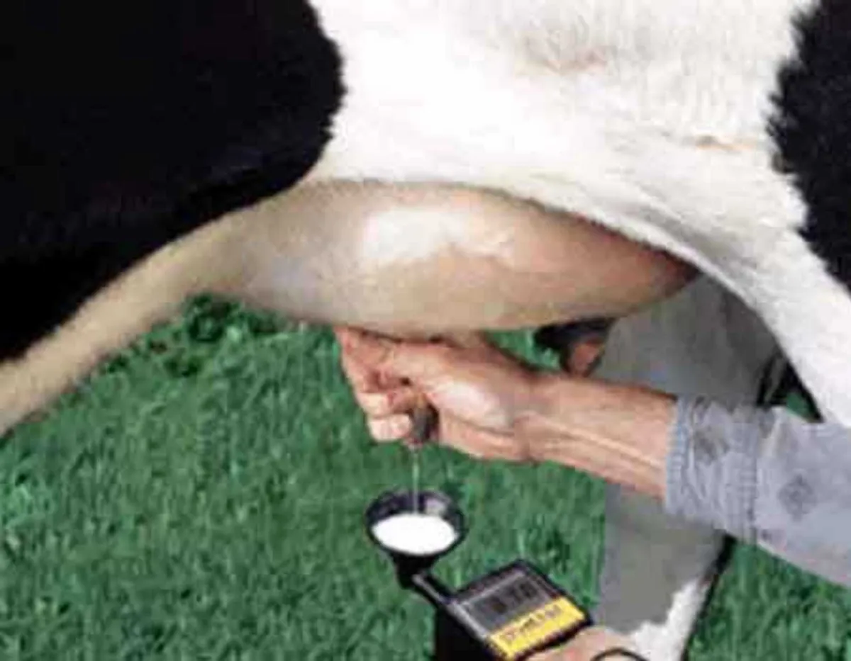 SPECIAL OFFER- Draminski Mastitis Detector at FDS - Image 4