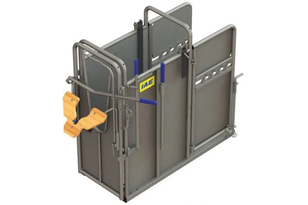 IAE Large Calf De-Horner Crate