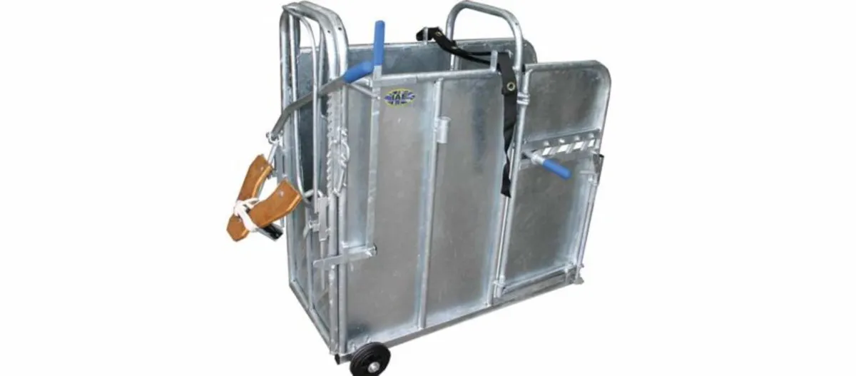 IAE Large Calf De-Horner Crate - Image 2