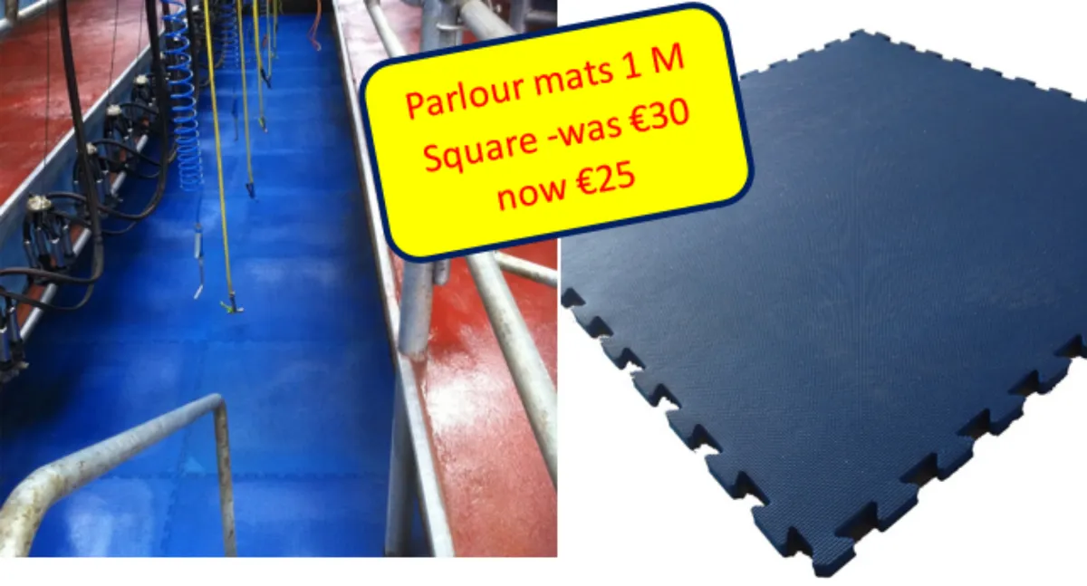 Parlour Mats 1 Metre square for sale at FDS - Image 3