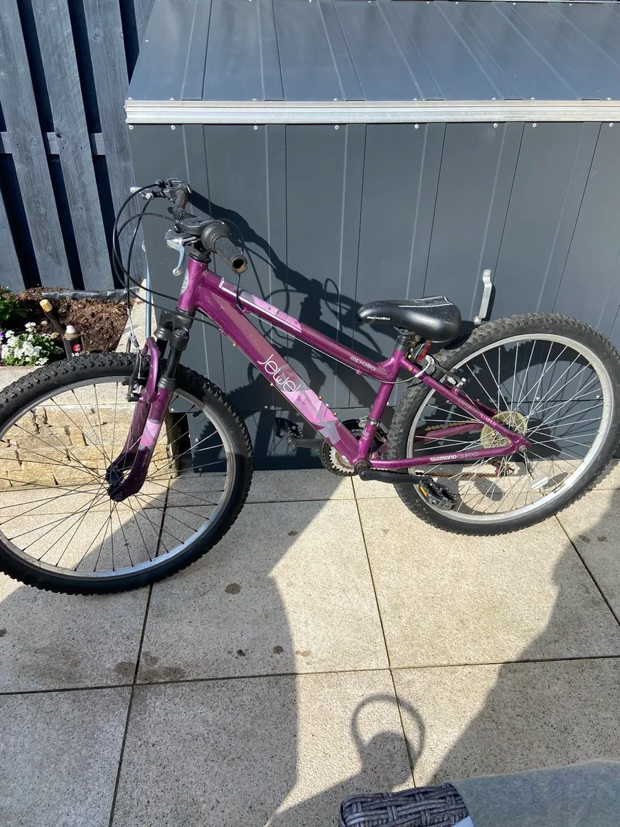 Girl's mountain bike