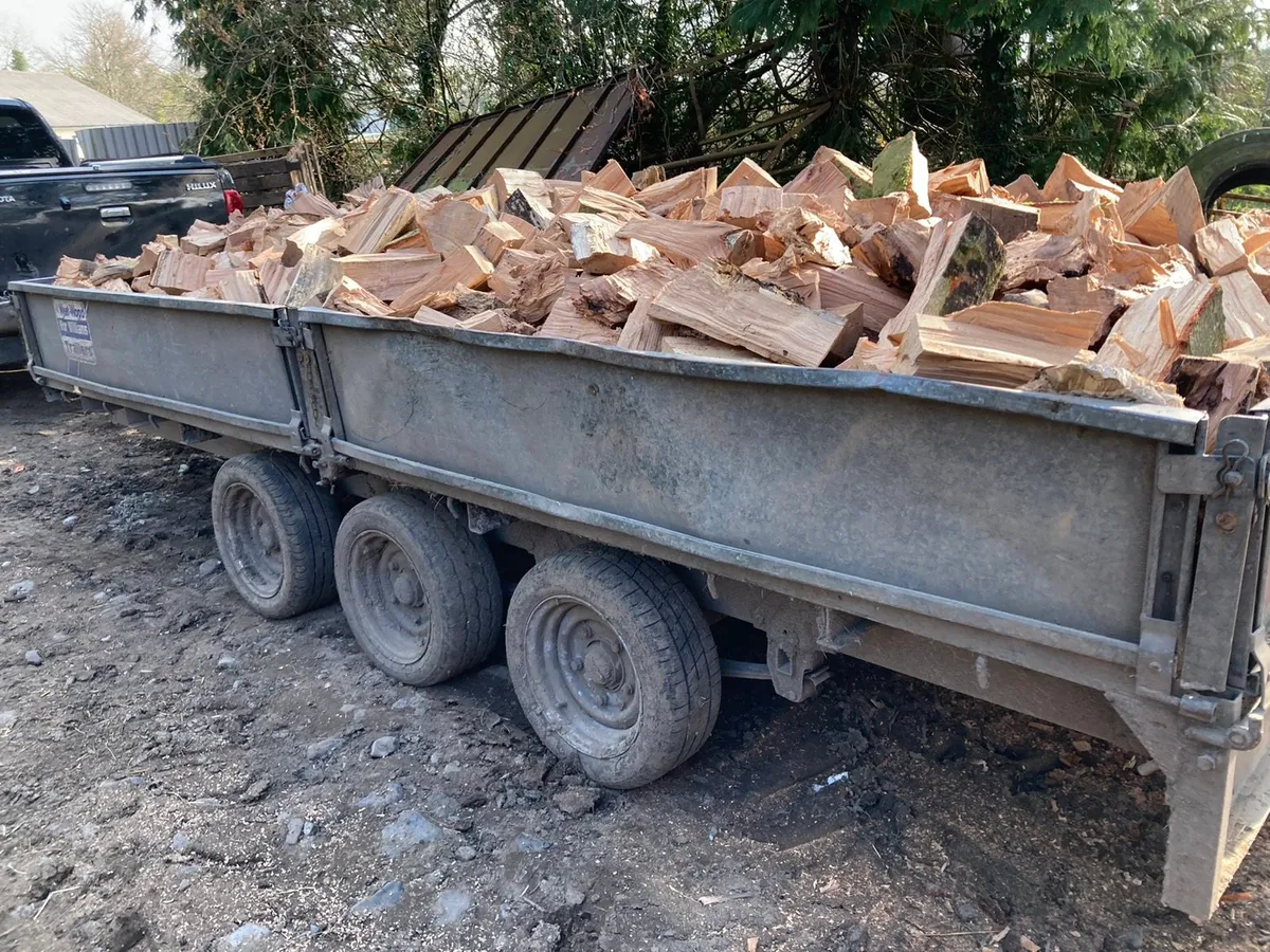Firewood - Image 1